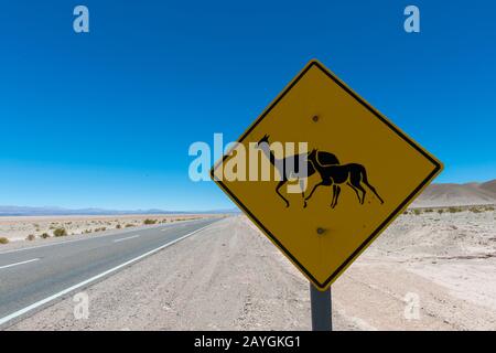 Un segno di attraversamento vicuna lungo l'autostrada 52 vicino a Susques nelle Ande, provincia Jujuy, Argentina. Foto Stock