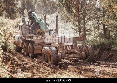 01 SETTEMBRE 2018, UFA, RUSSIA: Camion che guida su una strada sterrata per i lavori di disboscamento nella foresta Foto Stock