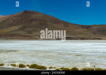 Paesaggio arido con un vicuna che attraversa una laguna di sale al confine argentino/cileno al passo Jama nelle Ande, Cile. Foto Stock
