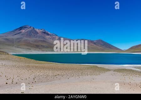 Vista del vulcano Miscanti 5640 m (18.504 piedi) e della laguna di Miscanti nella Riserva Nazionale di Los Flamencos vicino a San Pedro de Atacama nel deserto di Atacama Foto Stock