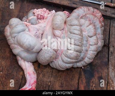 Gli intestini crudi di un maiale appena macellato, portati fuori tutto su uno sfondo di legno scuro Foto Stock