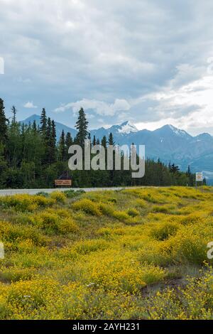 L'Alaska Highway che corre a nord da Haines Junction, Yukon, Canada Foto Stock