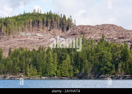 Una strada di disboscamento taglia attraverso una foresta trasparente altamente visibile, disseminata di alberi caduti, su una collina nella costa della British Columbia (vista sul livello del mare). Foto Stock