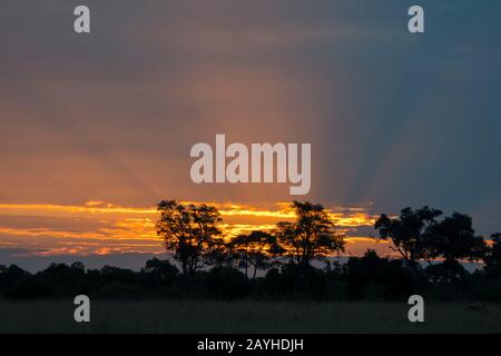 Alba con nuvole buie tempesta sopra la Riserva Nazionale Masai Mara in Kenya. Foto Stock