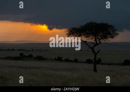 Alba con nuvole buie tempesta sopra la Riserva Nazionale Masai Mara in Kenya. Foto Stock