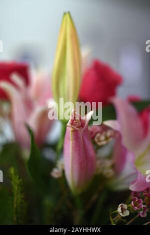 Rose E Lily Flower Arrangiamento Foto Stock