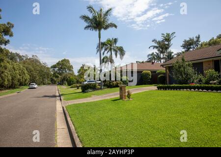 Casa australiana e giardino con piante e erba nel sobborgo di Sydney di Mona vale, nuovo Galles del Sud, Australia Foto Stock