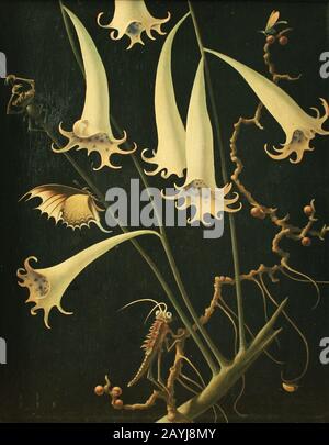 Franz Sedlacek - Blumen Und Insekte. Foto Stock