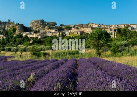 Vista sul villaggio di Saignon e un campo di lavanda nel Luberon, Provenza-Alpi-Costa Azzurra nella Francia meridionale. Foto Stock