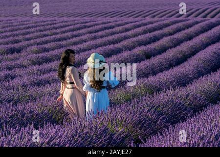 Modelli russi che posano in campo di lavanda sull'altopiano di Valensole vicino a Digne-les-Bains e le gole del Verdon nella regione Alpes-de-Haute-Provence in s. Foto Stock