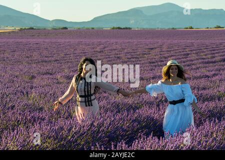 Modelli russi che posano in campo di lavanda sull'altopiano di Valensole vicino a Digne-les-Bains e le gole del Verdon nella regione Alpes-de-Haute-Provence in s. Foto Stock