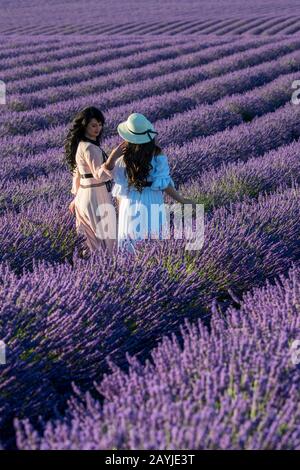 Modelli russi che posano in campo di lavanda sull'altopiano di Valensole vicino a Digne-les-Bains e le gole del Verdon nella regione Alpes-de-Haute-Provence in s. Foto Stock