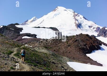 Ammira il monte Baker dal sentiero del monte Parmigan Ridge, il monte Baker-Snoqualmie National Forest, Washington, Stati Uniti Foto Stock