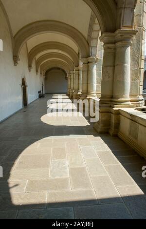 Il cortile del Museo Delle Culture di Oaxaca, che si trova in un ex monastero vicino alla Chiesa di Santo Domingo de Guzman nella città di Foto Stock