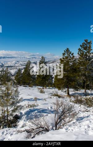 Vista in inverno dalla zona sciistica di Echo Ridge Nordic, vicino al lago Chelan, nella zona orientale di Washington, Stati Uniti. Foto Stock