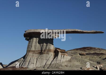 King of Wing, incredibili formazioni rocciose nell'area di studio di Ah-shi-sle-pah, New Mexico USA Foto Stock