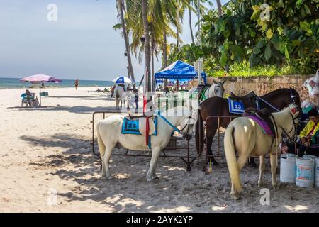 Hua Hin, Thailandia - Ottobre 9th 2017: Cavalli sulla spiaggia. Molti turisti viaggiano lungo la spiaggia. Foto Stock