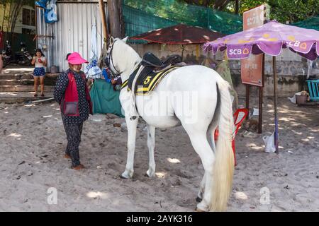 Hua Hin, Thailandia - Ottobre 9th 2017: Cavallo bianco con gestore sulla spiaggia. Molti turisti viaggiano lungo la spiaggia. Foto Stock