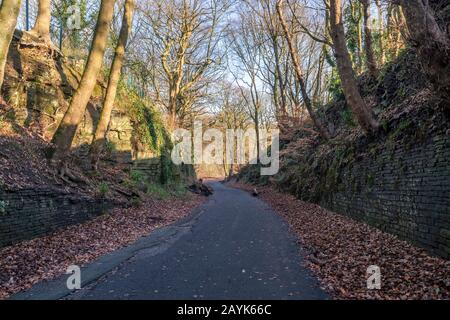 Woodland at Haigh Hall è una storica casa di campagna a Haigh, Metropolitan Borough of Wigan, Greater Manchester, Foto Stock