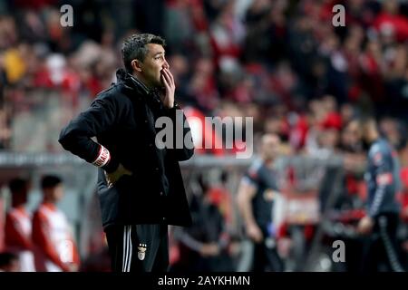 Lisbona, Portogallo. 15th Feb, 2020. Il capo allenatore di Benfica Bruno Lage reagisce durante una partita di calcio portoghese Primeira Liga tra SL Benfica e SC Braga allo stadio Luz di Lisbona, Portogallo, il 15 febbraio 2020. Credit: Petro Fiuza/Xinhua/Alamy Live News Foto Stock