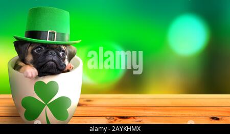 Cucciolo di pug carino all'interno di una tazza che indossa un cappello leprechaun. Concetto di tema del giorno di San Patrizio. Foto Stock