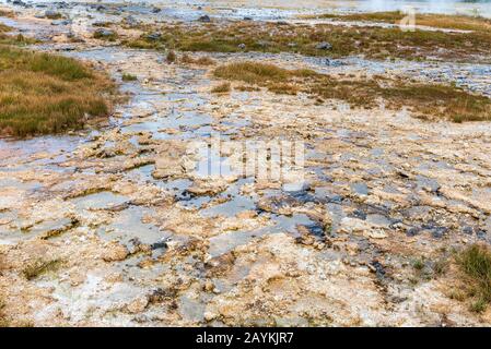 Terreno paludoso con grumi di erba. Foto Stock