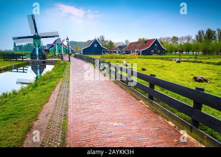 Strada di campagna olandese con mulino a vento tradizionale in legno e pecore al pascolo nel giardino, Zaanse Schans villaggio turistico, Paesi Bassi, Europa Foto Stock