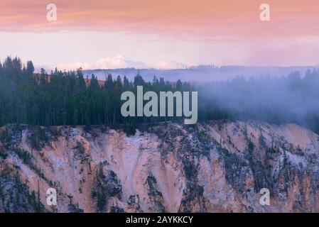 Tramonto sulla foresta nebbiosa sul cielo di montagna sotto il cielo arancione pastello. Foto Stock