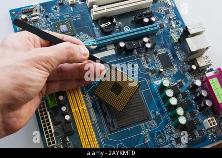 Il tecnico del settore tecnico tiene in mano il microprocessore della CPU delle pinzette e collega il computer alla presa della scheda madre. Tecnologia di base del settore Foto Stock