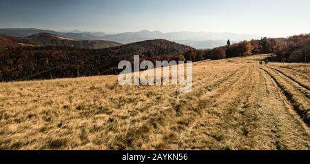Hala na Malej Raczy prato di montagna con colline sullo sfondo e foresta colorata in autunno Beskid Zywiecki montagne sul polacco - confine slovacco Foto Stock