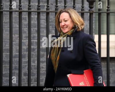 Londra, Regno Unito. 14th Feb, 2020. Appena nominato Segretario di Stato per lo sviluppo Internazionale Anne-Marie Trevelyan in arrivo per la riunione straordinaria del Gabinetto a seguito di un rimpasto. Foto Stock