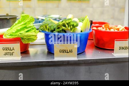 18 MAGGIO 2018, BERLINO, GERMANIA: Frutta e verdura preaccoppiate e tagliate a fette per nutrire scimmie e altri animali nella cucina dello zoo di Berlino Foto Stock