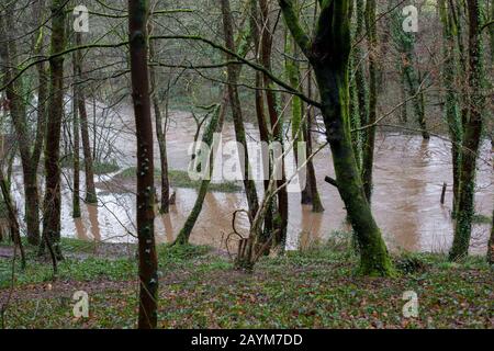 Cardiff, Galles, Regno Unito. 16th Feb, 2020. Cardiff, GALLES, REGNO UNITO - 16 FEBBRAIO 2020 - Burst Banks of the Ely River a Cardiff, in quanto Met Office aggiorna il monito di Storm Dennis per il Galles del Sud allo status di "rabbia verso la vita". Credito: Mark Hawkins/Alamy Live News Foto Stock