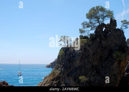 Paesaggio costiero della Costa Brava a Girona. Roccia con alberi isolati nel cielo blu Foto Stock