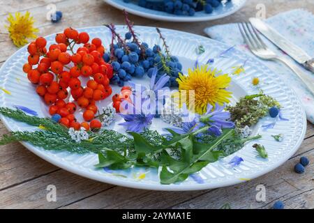 Yarrow, yarrow comune (Achillea millefolium), piatto con uve di montagna e frutti di bosco di rowan, decoratet con fiori di dente di leone, Yarrow e marinai blu, Germania Foto Stock