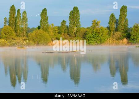 Lago nel Parc naturel régional de la Brenne, Francia, Indre, la Brenne Foto Stock