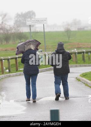 Sheerness, Kent, Regno Unito. 16th Feb, 2020. Tempo nel Regno Unito: Forte pioggia in Sheerness, Kent a causa di Storm Dennis. Credito: James Bell/Alamy Live News Foto Stock