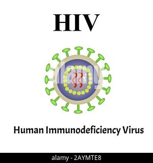 Struttura del virus HIV. Infezione virale HIV, AIDS. Malattie sessualmente trasmissibili. Infografiche. Illustrazione vettoriale su sfondo isolato. Illustrazione Vettoriale