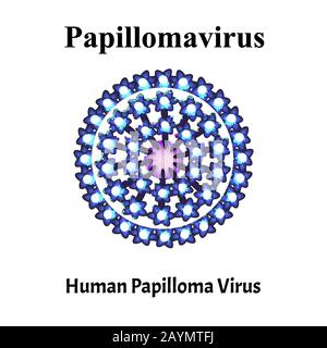 Il papilloma è una struttura virale umana. Infezione da papilloma virus. Malattie sessualmente trasmissibili. Infografiche. Illustrazione del vettore su isolato Illustrazione Vettoriale