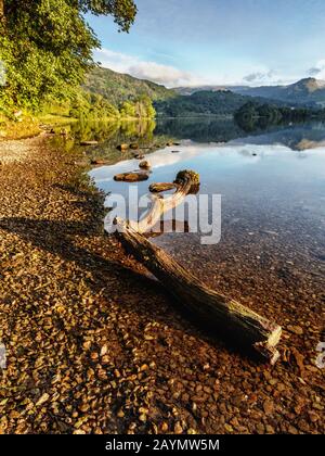 La mattina presto vista dalle rive del lago Grasmere. Lake District, Cumbria, Inghilterra, Regno Unito Foto Stock