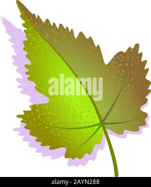 Foglia di uva verde testurizzata con ombra, isolata su sfondo bianco. Icona realistica della natura singola, simbolo ecologico del vino elemento piatto. Illustrazione del vettore stock. Design del logo per l'agricoltura. Illustrazione Vettoriale