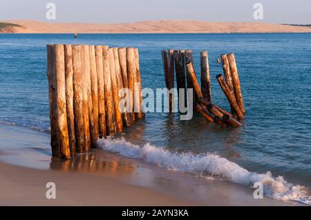 Cap Ferret Bei Arcachon, Aquitaine, Frankreich, Europa Foto Stock
