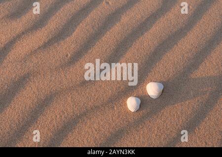 Cap Ferret Bei Arcachon, Aquitaine, Frankreich, Europa Foto Stock