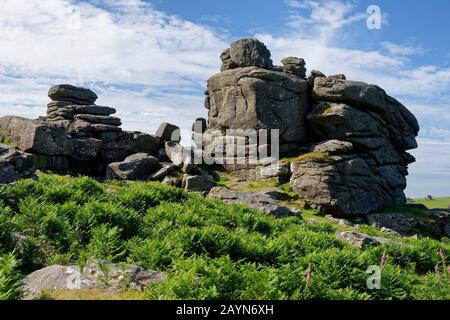 Orning Sun on Granite Rocks di Hound Tor, Dartmoor, Devon; Regno Unito Foto Stock