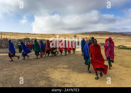 Ngorongoro, TANZANIA - 16 AGOSTO 2019: Gli uomini Masai in abiti colorati eseguono una danza rituale Foto Stock