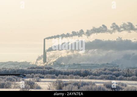 Enorme fabbrica. Fumo dai camini. Fabbrica sullo sfondo della natura Foto Stock