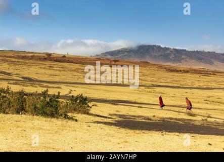 Ngorongoro, TANZANIA - 16 AGOSTO 2019: Uomini Masai che camminano attraverso la savana vicino all'area di conservazione di Ngorongoro, Tanzania, Africa Foto Stock