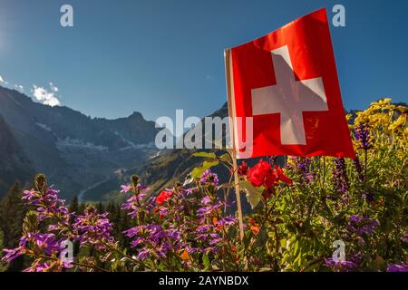 Una bandiera svizzera bianca e rossa che vola nel vento con fiori e picchi ricoperti di ghiacciaio sullo sfondo a la Fouly, Svizzera Foto Stock