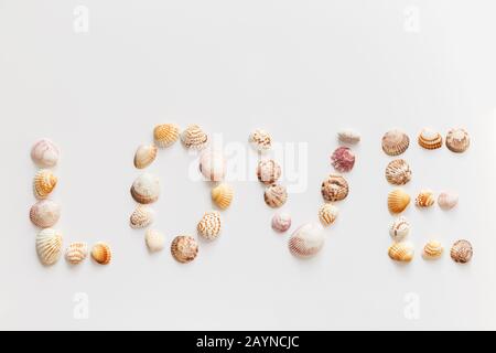 Parola Amore creato di conchiglie e driftwood isolato su sfondo bianco Foto Stock