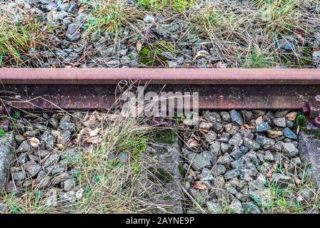 Binari ferroviari vecchi e abbandonati in un paesaggio nordeuropeo Foto Stock